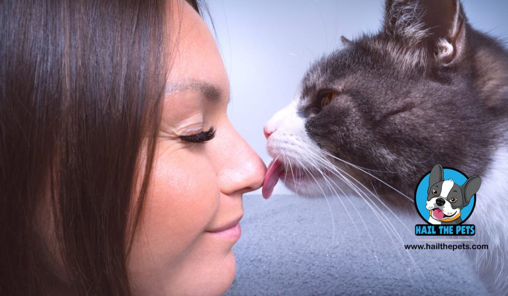 cat licking you meaning