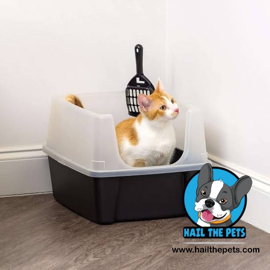 Litter box training for cats