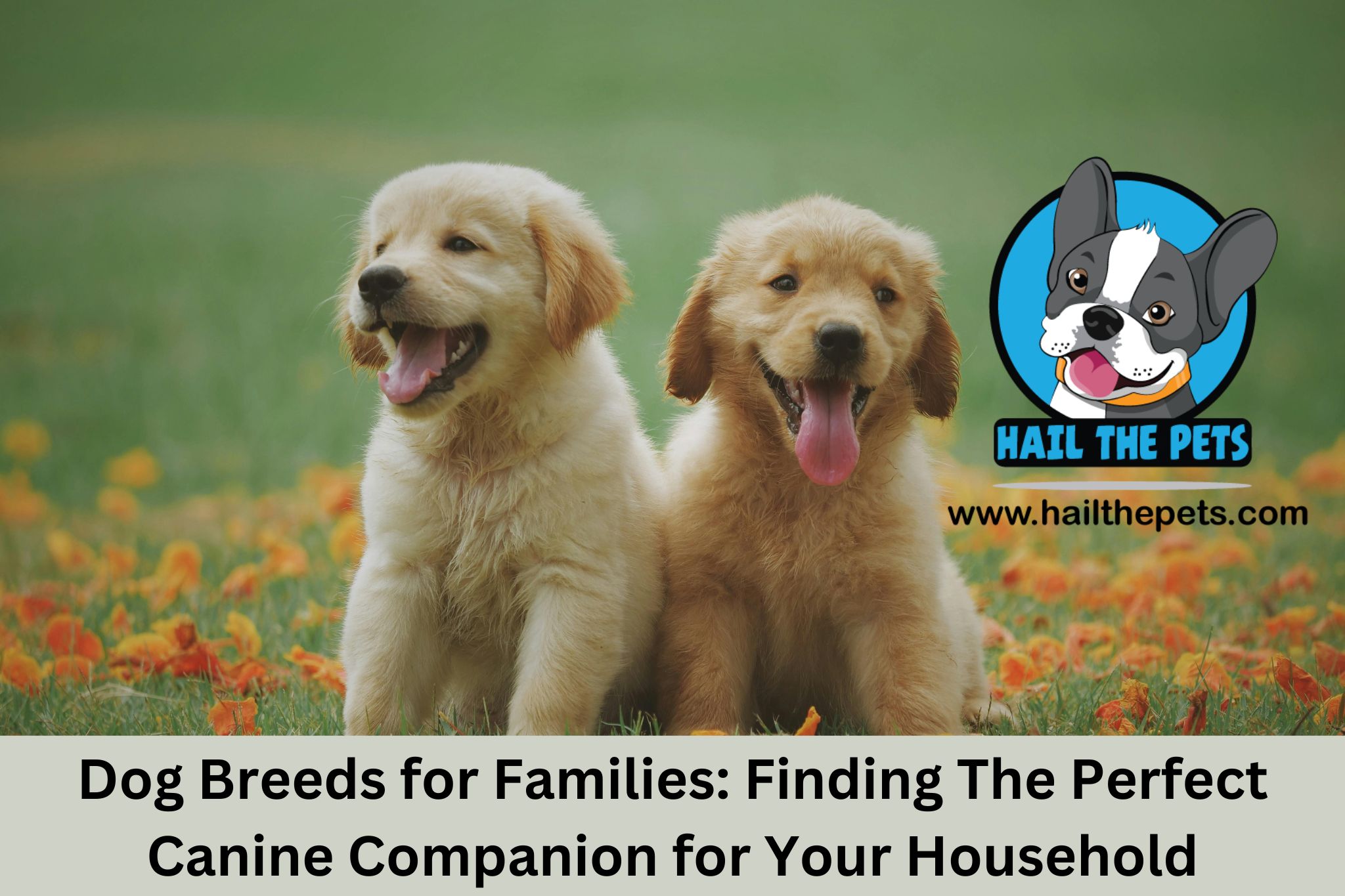 Dog Breeds for Families: Finding the Perfect Canine Companion for Your Household- May 2024