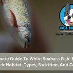 white seabass fish care guide