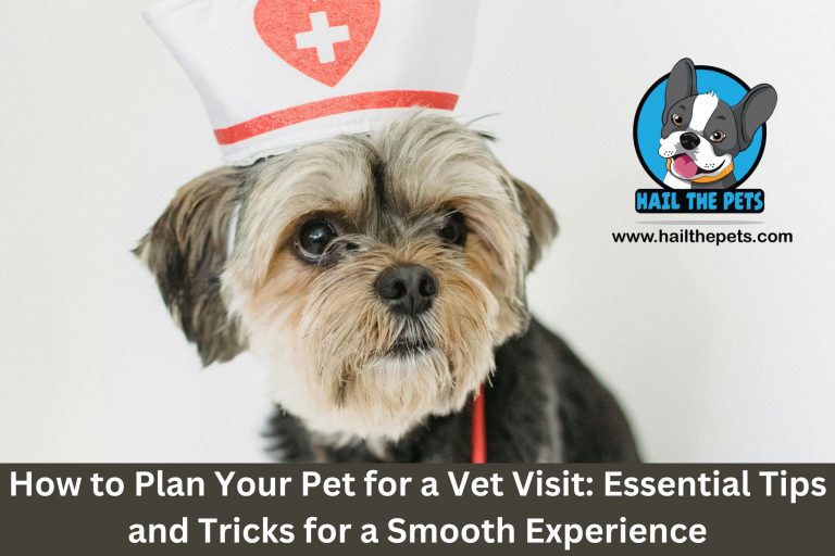 How to Plan Your Pet for a Vet Visit: Essential Tips and Tricks for a Smooth Experience