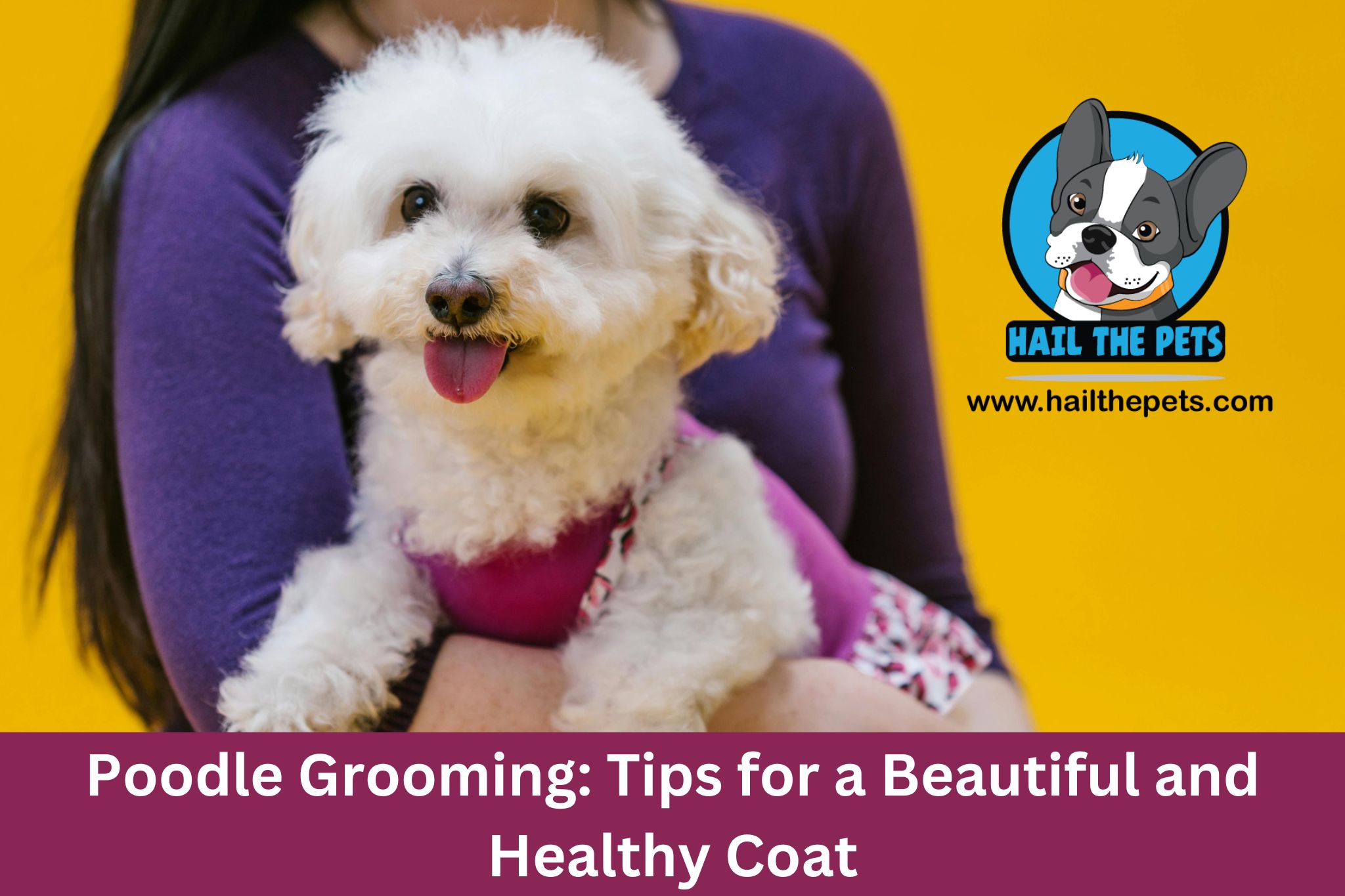 Poodle Grooming: Tips for a Beautiful and Healthy Coat