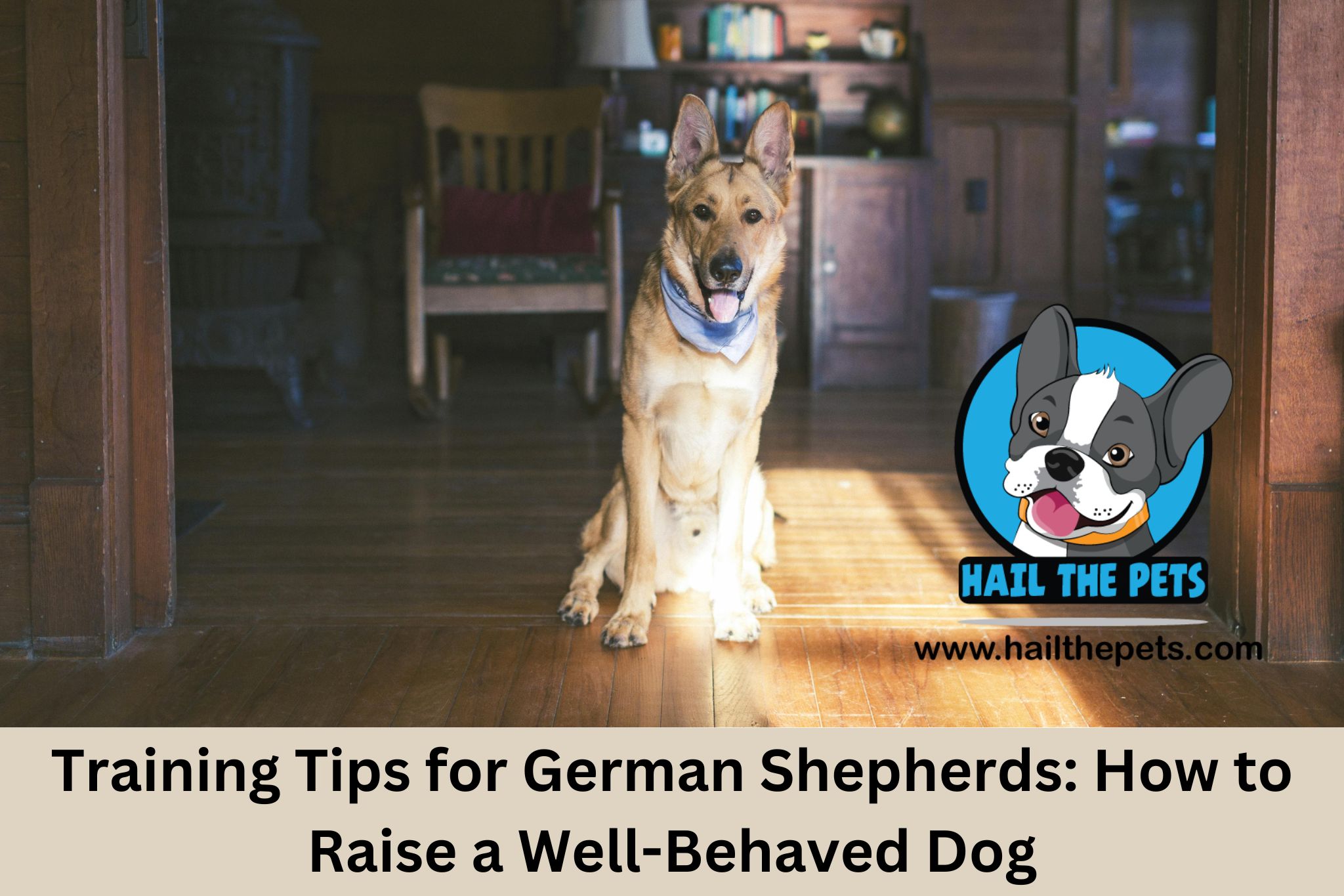 Training Tips for German Shepherds: How to Raise a Well-Behaved Dog