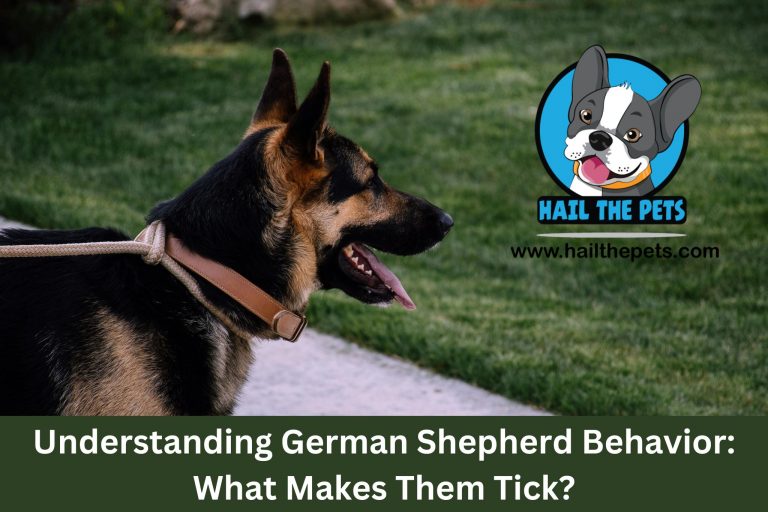 Understanding German Shepherd Behavior