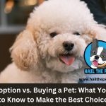 Pet Adoption vs. Buying a Pet