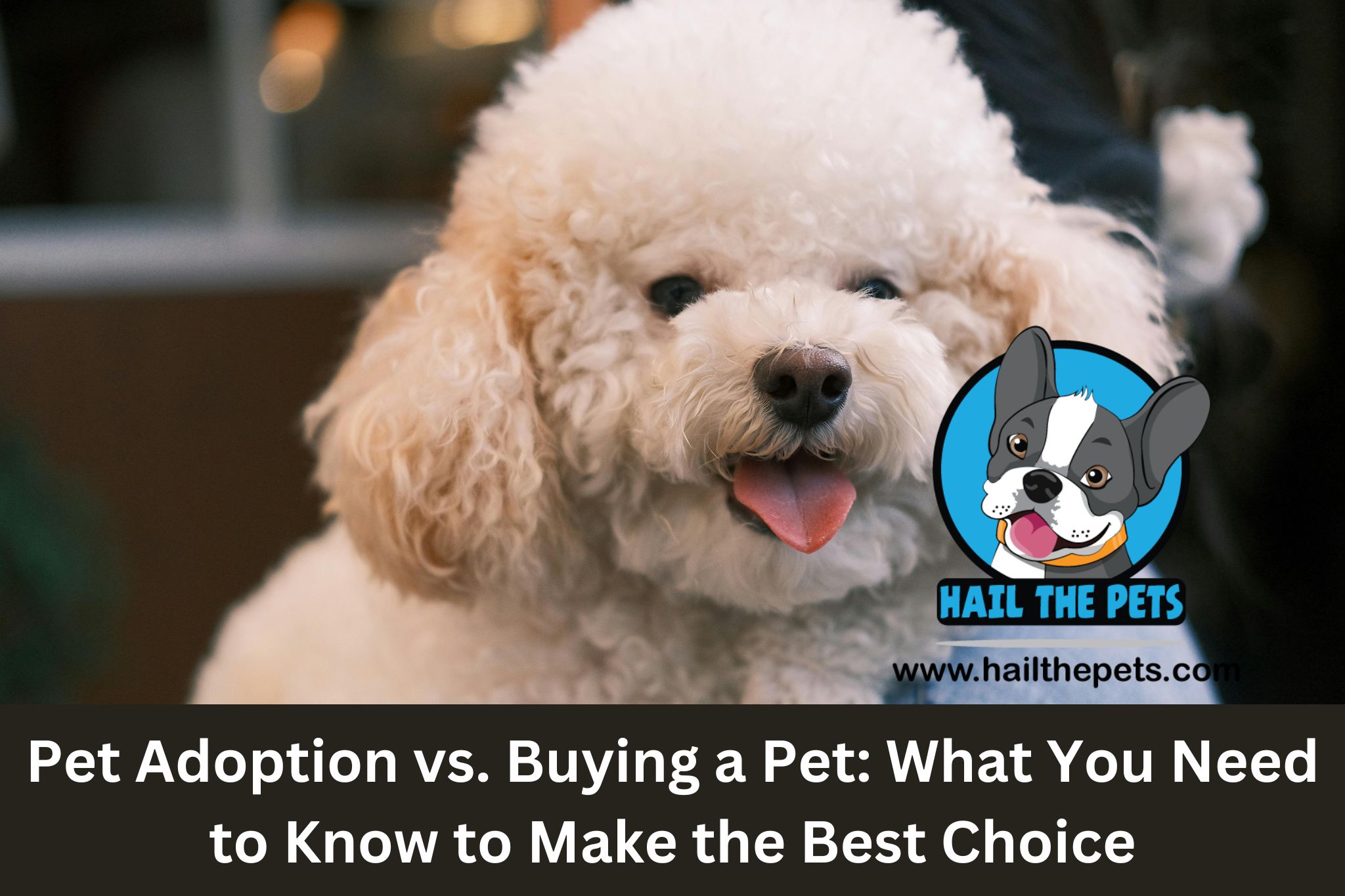 Pet Adoption vs. Buying a Pet