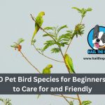 Top 10 Pet Bird Species