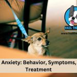 Dog Anxiety: Behavior, Symptoms, and Treatment