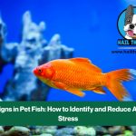Stress signs in pet fish