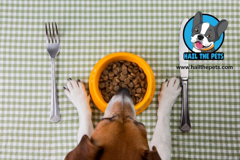 dog diet plans for weight loss
