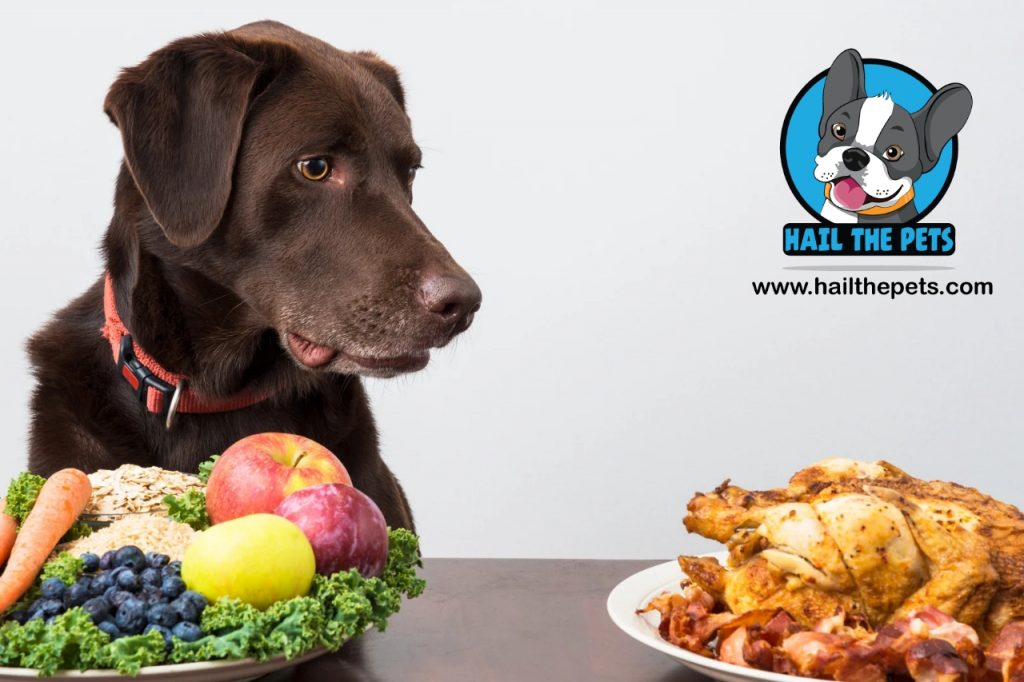 how to tell if your dog is overweight 