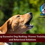 excessive dog barking