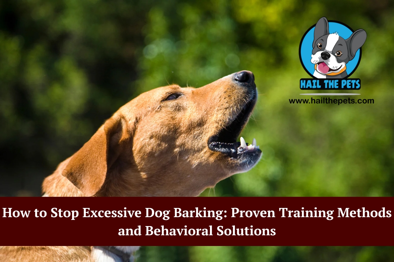 excessive dog barking
