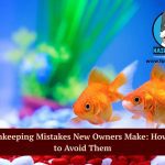 Fishkeeping mistakes