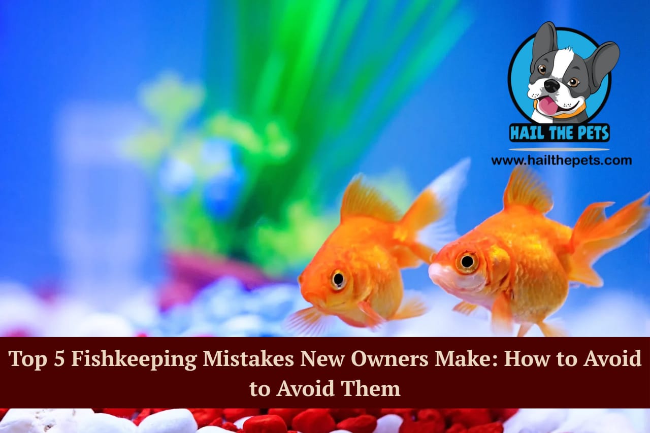 Fishkeeping mistakes