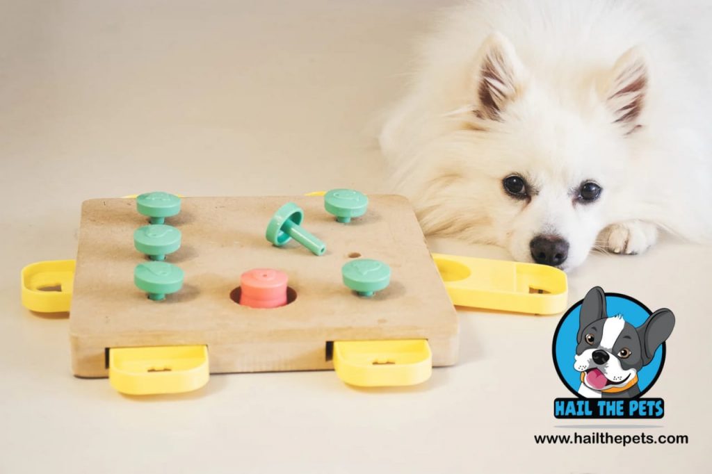 best puzzle toys for dogs
