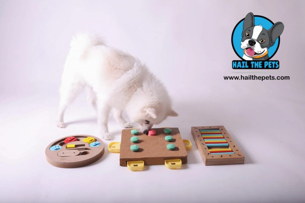 interactive dog toys for mental stimulation