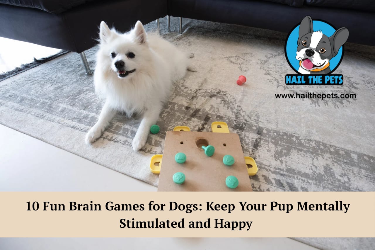 brain games for dogs