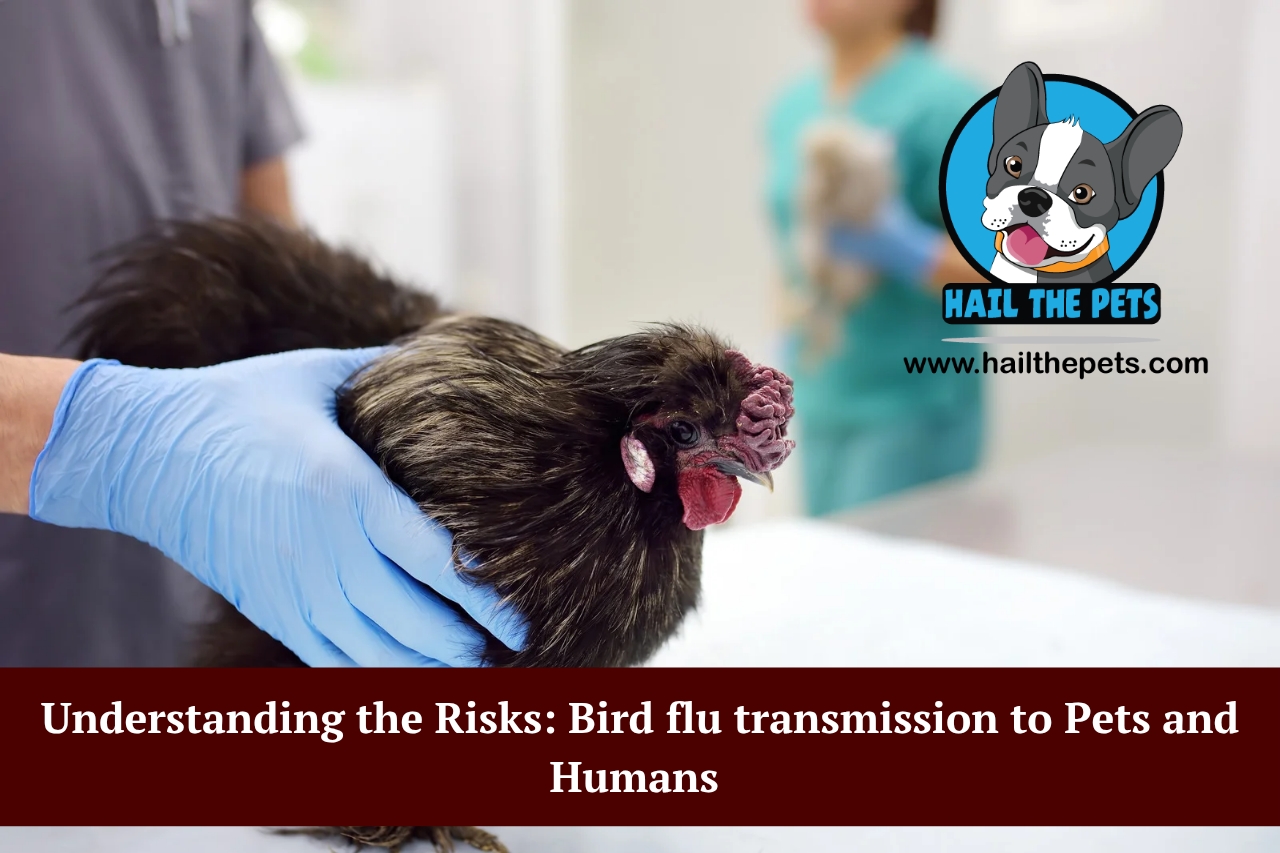 Understanding the Risks_ Bird flu transmission to Pets and Humans_20250828_195246_0000