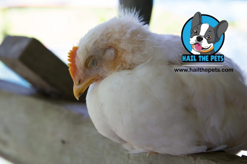 Preventing avian influenza spread to mammals
