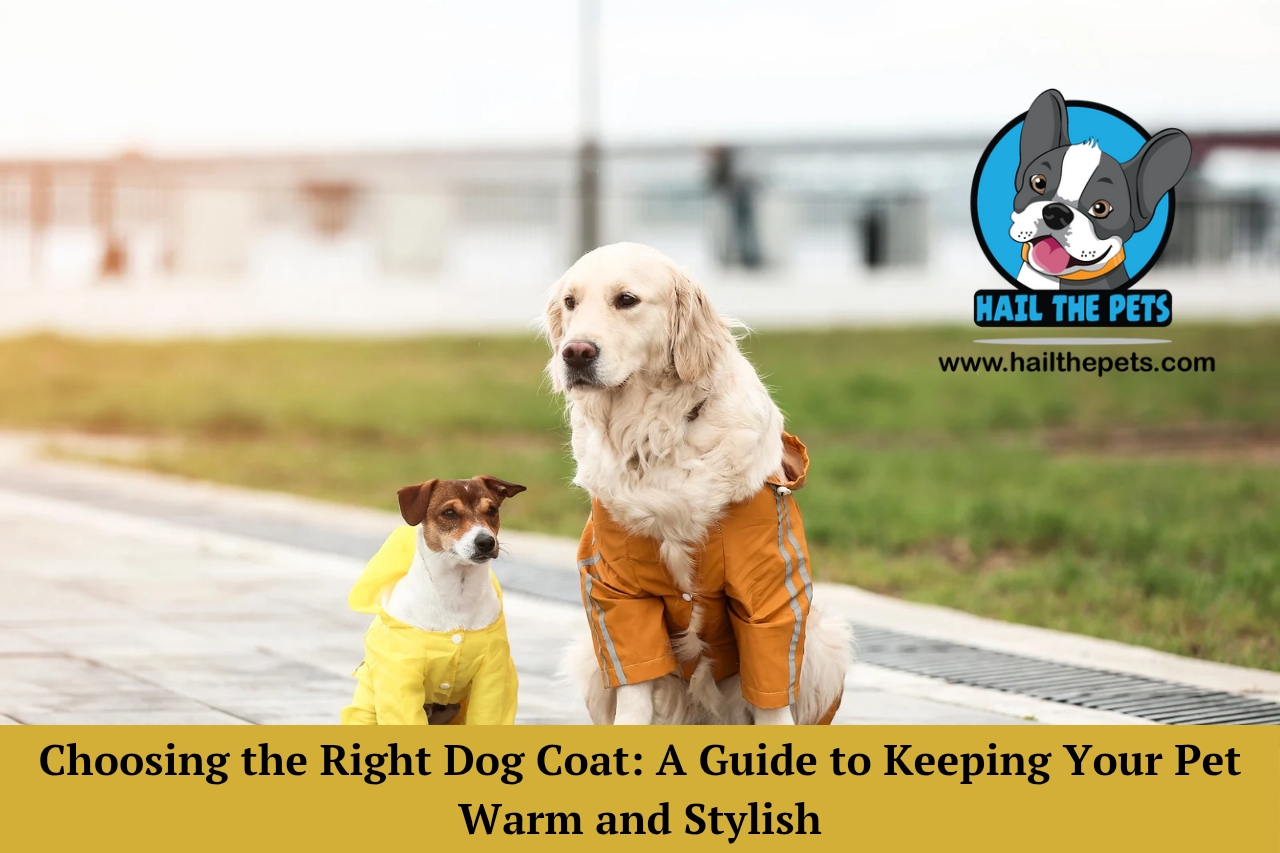 Choosing the Right Dog Coat: A Guide to Keeping Your Pet Warm and Stylish - September 2025