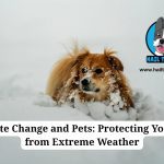 climate change and pets