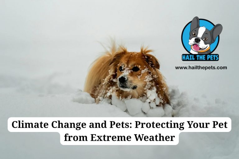 climate change and pets