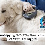 pet microchipping 2025