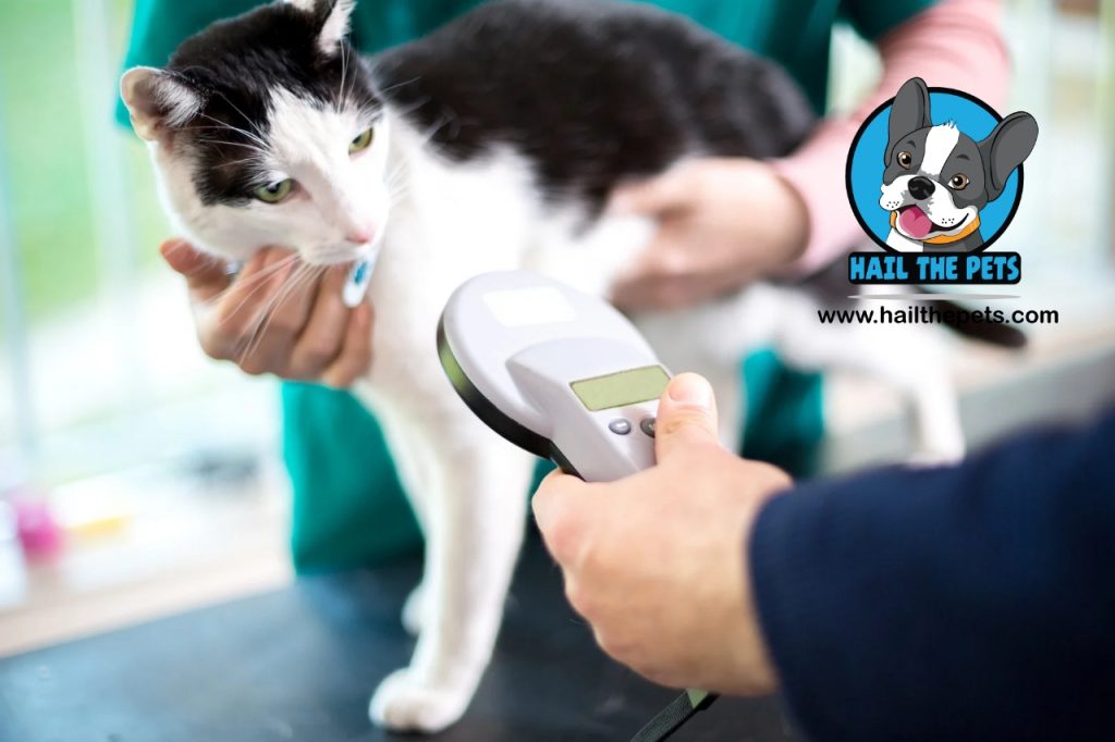 pet microchipping 2025
