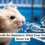Toxic foods for hamsters