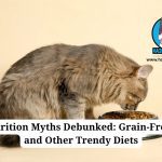 pet nutrition myths