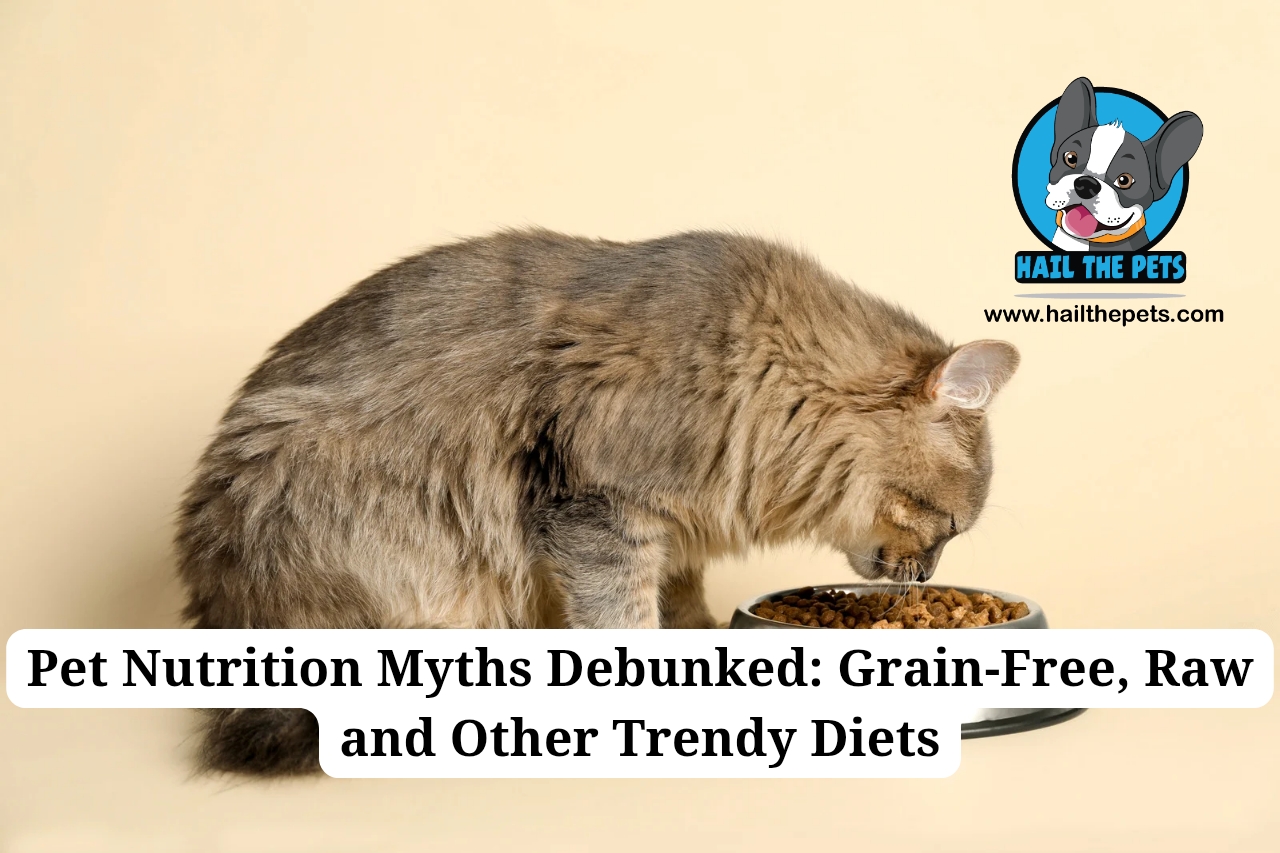 pet nutrition myths