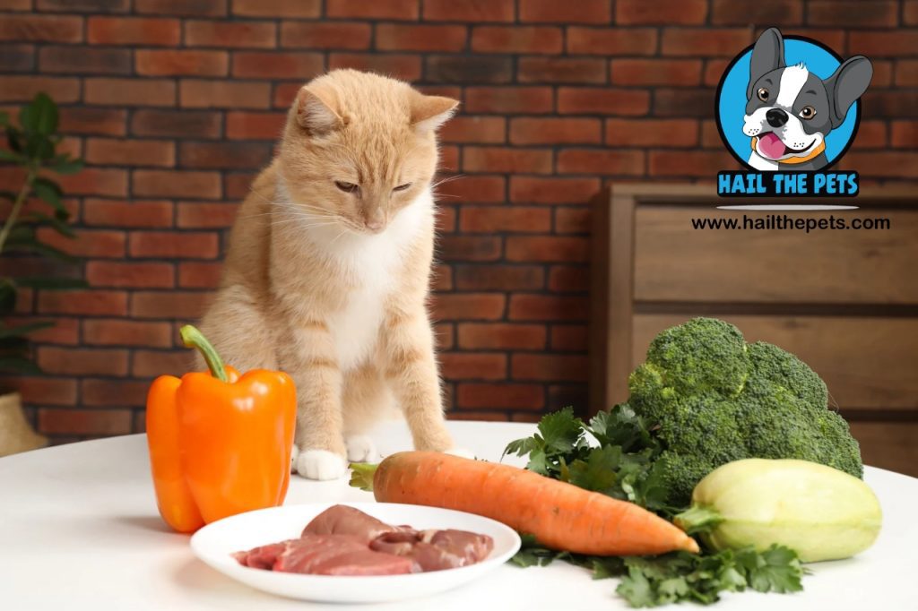 raw diet for pets risks